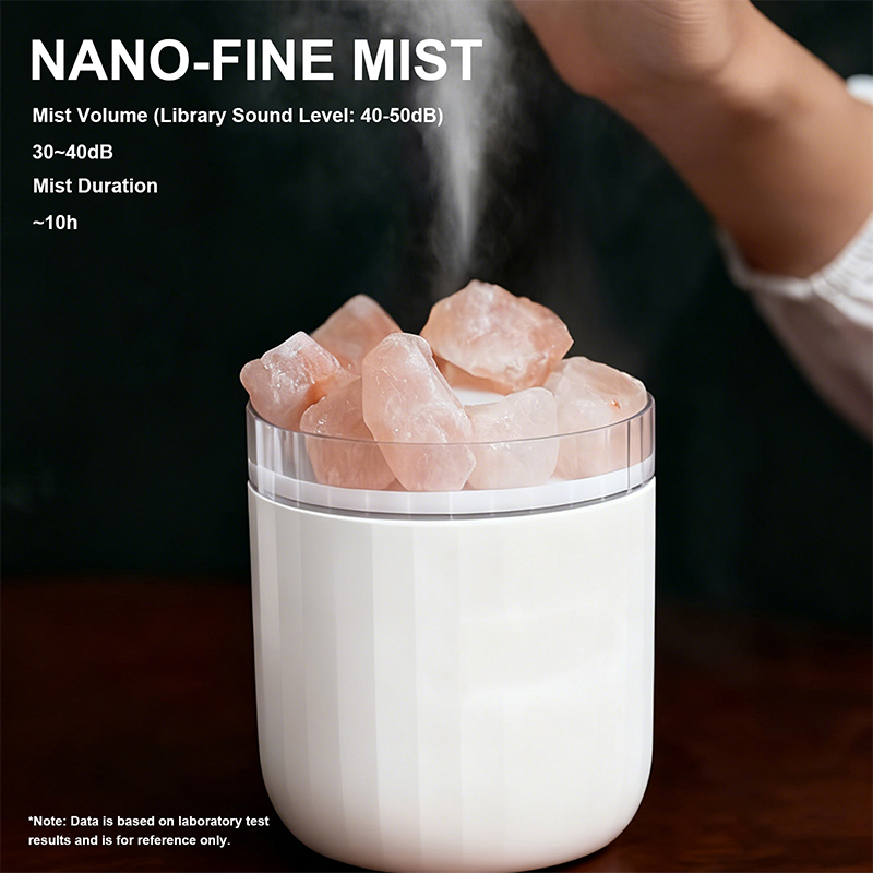 Essential Oil Diffuser with Ni - Home Fragrance Mist 评论和价格