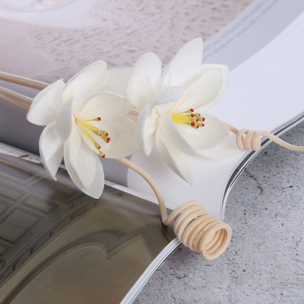Multipurpose 5cm Natural Handm - Home Fragrance Natural 评论和价格