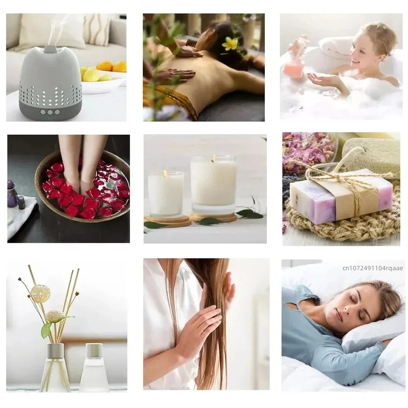 Natural Blue Lotus Reed Diffus - Home Fragrance Natural 评论和价格